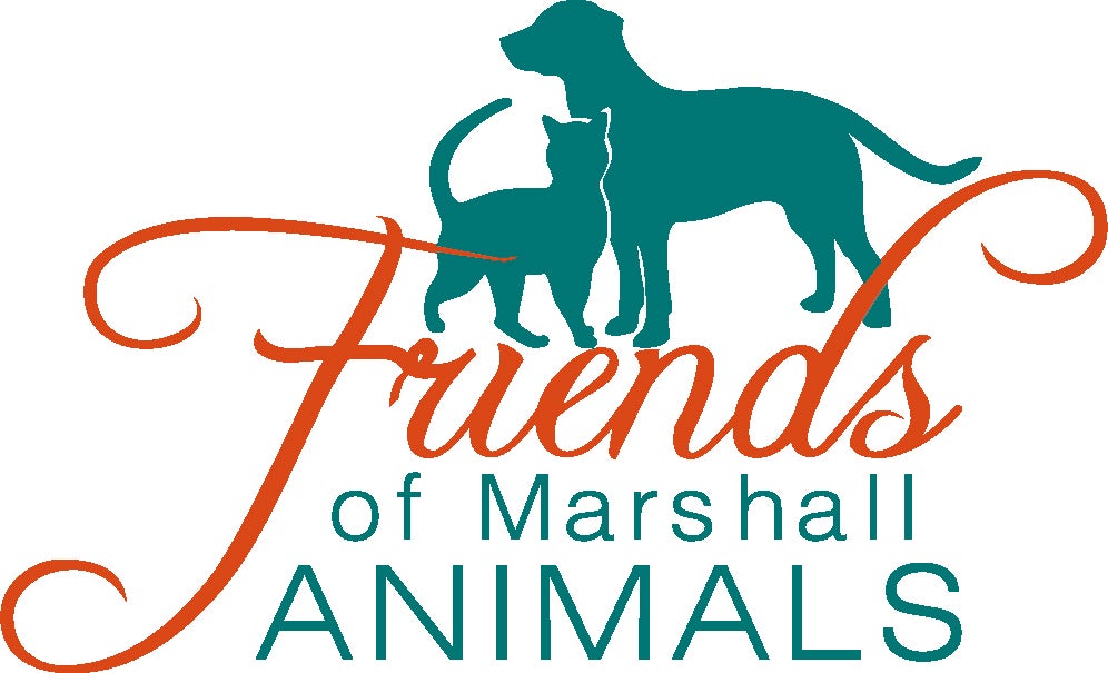 Are Dogs Allowed In Marshalls